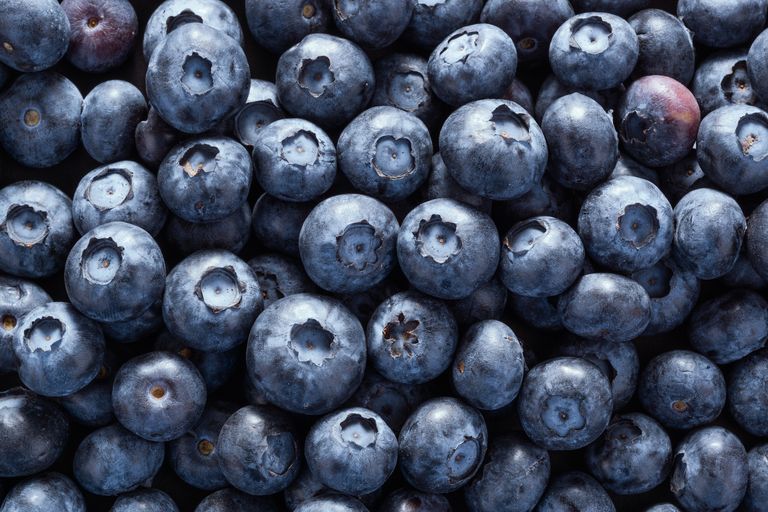 Folly Farm Blueberries